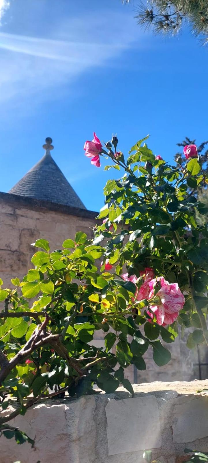 Cozzana Il Trullo Delle Rose, Monopoli By Il Pumo Di Pugliaヴィラ エクステリア 写真