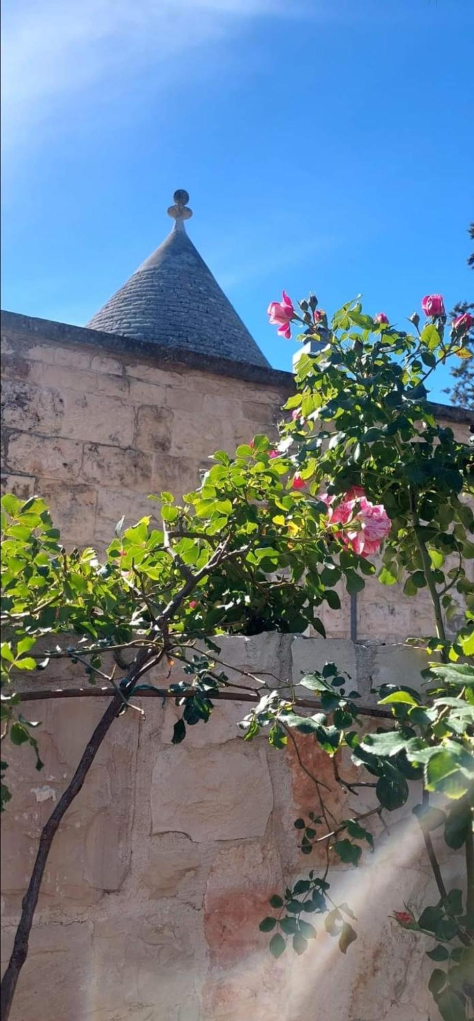 Cozzana Il Trullo Delle Rose, Monopoli By Il Pumo Di Pugliaヴィラ エクステリア 写真
